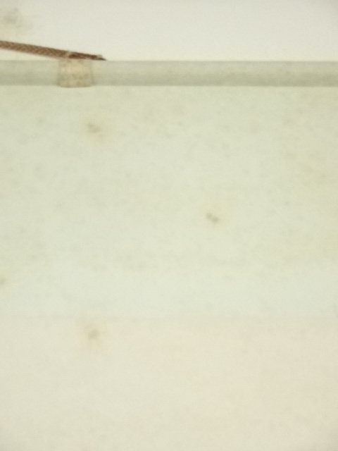 掛け軸 西岡聖山 乗鞍と大正池 水墨山水 絹本 希少 軸装 茶道具 掛軸 美品